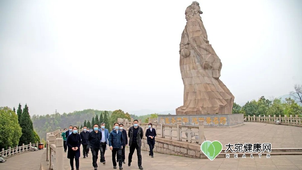 市中医药发展局局长崔书克调研仲景宛西制药